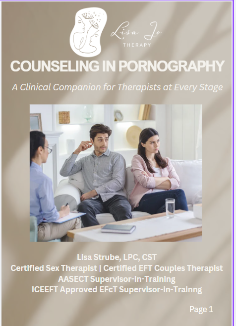 Counseling in Pornography: Clinical Training Bundle